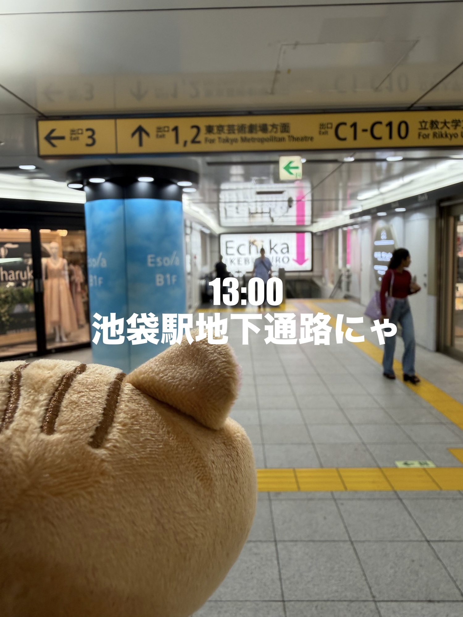 【ヨシツネ便り】劇場行ってみた